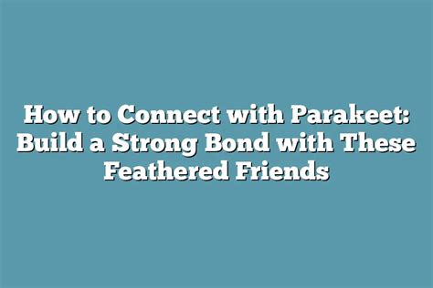 Building a Strong Bond with Your New Feathered Friend