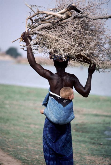 Carrying Wood as a Metaphor for Burdens and Responsibilities in Dreams