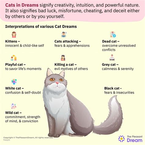 Cats in Dreams: Significance of Independence and Balance