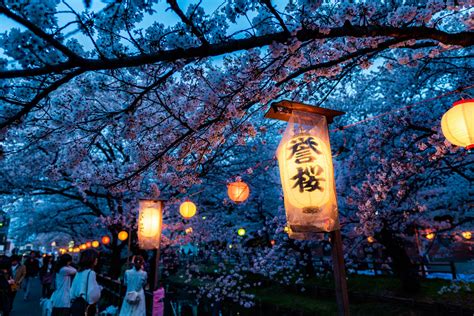 Cherry Blossom Festivals: Celebrating Nature's Spectacle