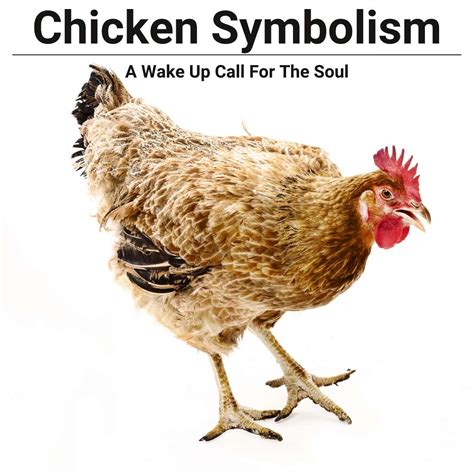 Chickens: A Symbol of Vulnerability