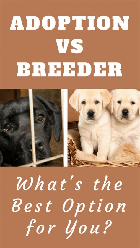 Choosing a Trustworthy Breeder or Adoption Center