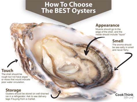 Choosing the Ideal Location for Oyster Gathering