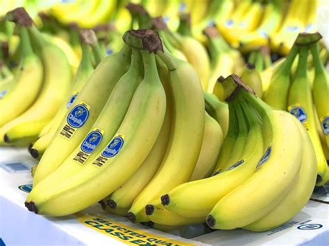 Choosing the Perfect Banana for Your Culinary Delights