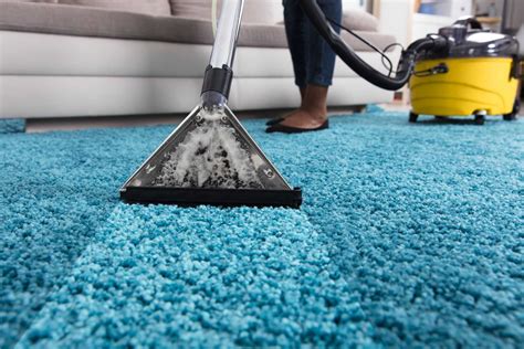 Choosing the Perfect Carpet Care Products and Equipment
