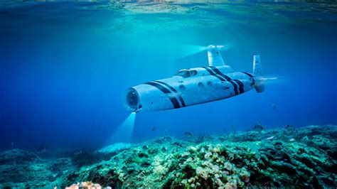 Choosing the Perfect Vast Underwater Vessel for Your Expeditious Venture