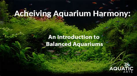 Cleansing the Chaos: Restoring Harmony in the Aquarium