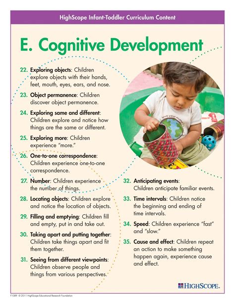 Cognitive Development: Exploring the Influence of Early Childhood Experiences