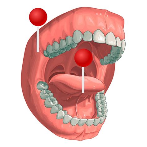 Common Emotions Linked to Dreams of a Wounded Oral Cavity