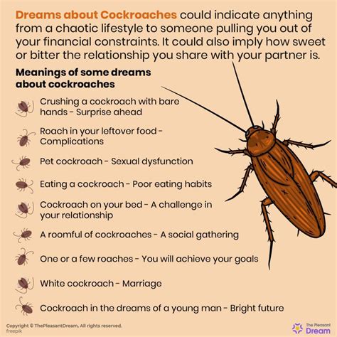 Common Explanations for Dreams Involving Insects and Roaches