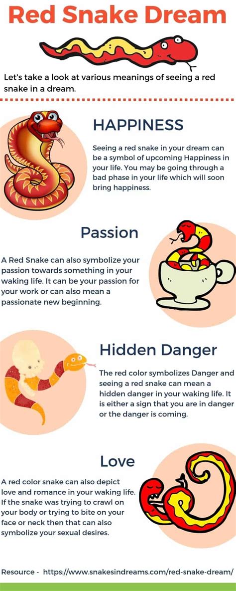 Common Feelings and Responses Linked to Snake Dream Symbols