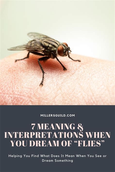 Common Interpretations of Dreams Involving the Consumption of a Fly