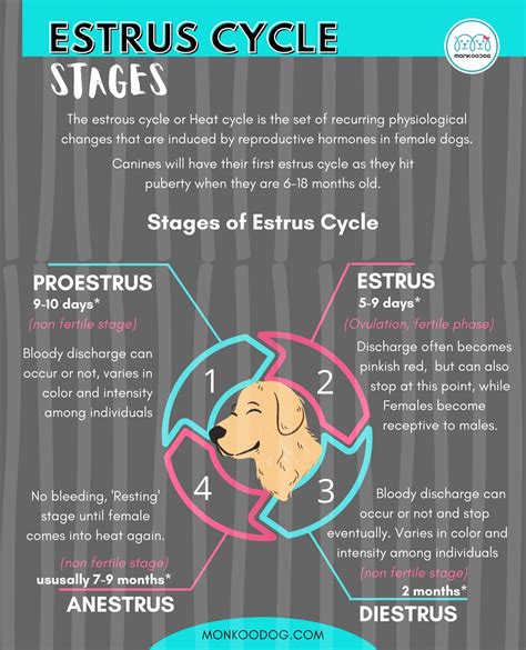 Common Patterns and Meanings in Dreams Involving Dogs in Estrus
