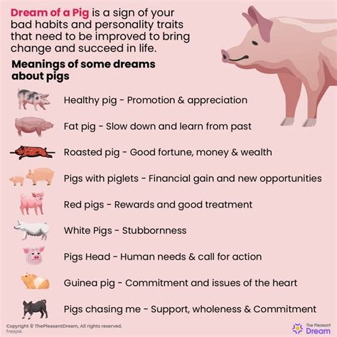 Common Scenarios and Situations Involving Pig Encounters in Dreams