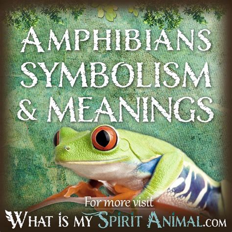 Common Symbolism Associated with Amphibians and Hair