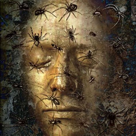 Common Themes: Spiders in Dreams and their Meaning