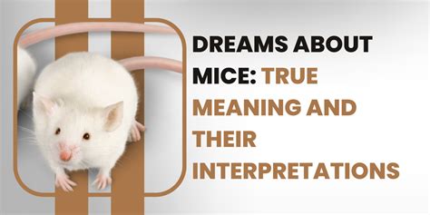 Common Themes and Interpretations in Dreams of Felines and Rodents