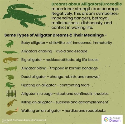 Common Themes in Dreams featuring Alligators