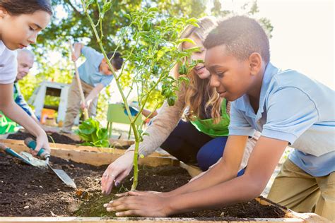 Community Building Through Planting: Making a Difference Together
