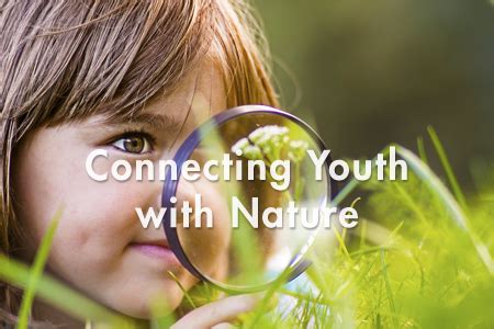 Connect with Nature: Discovering the Wild in the Wilderness