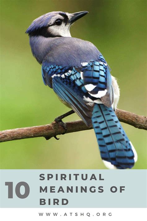 Connecting the Symbolism of Birds in Flight to Spiritual and Metaphysical Beliefs