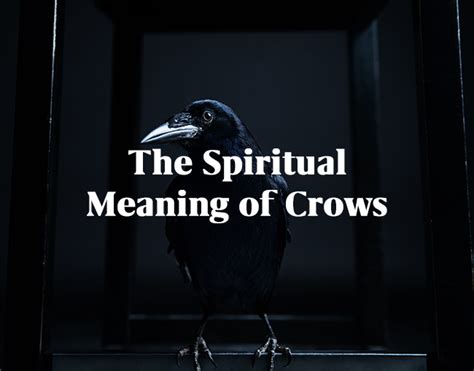 Connecting with the Divine: Exploring the Spiritual Significance of Communing with Crows