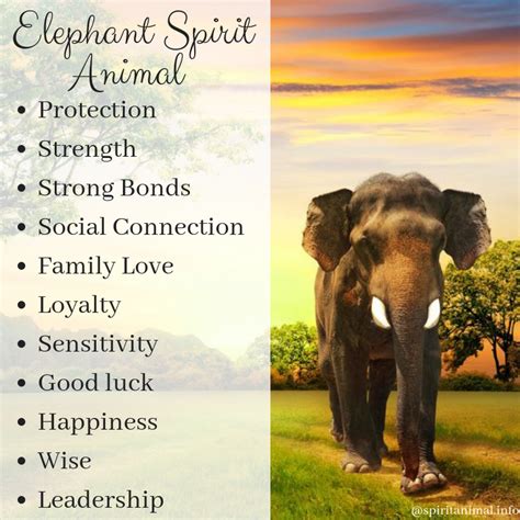 Connecting with the Divine: How the Sacred Essence of Elephants Represents the Awakening of the Spirit in Sleeping Reveries