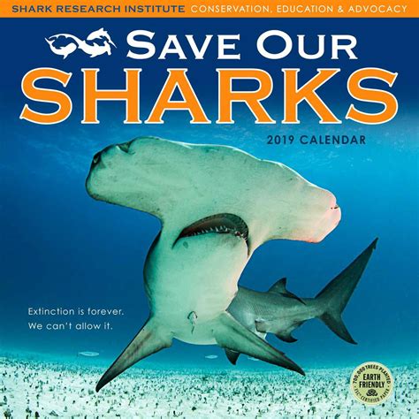 Conservation and Education: Advocating for the Protection of Sharks