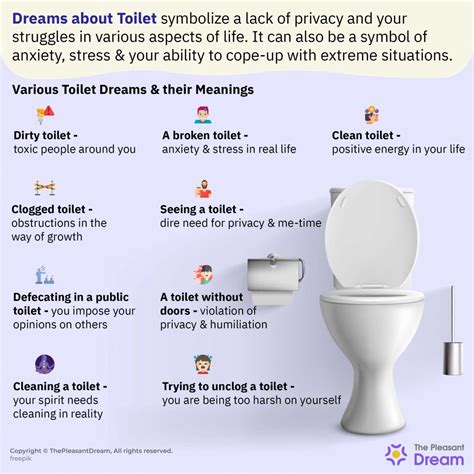 Considering the Impact of Personal Experiences on Toilet Dream Interpretation