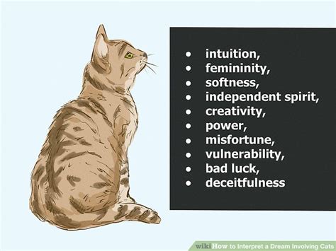 Coping Strategies for Managing Disquieting Dreams involving Feline Assaults