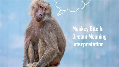 Coping with the Impact: Healing and Processing Monkey Bite Dreams