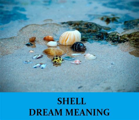 Cracked Shell Vision: Revealing Vulnerability in Dream Symbols