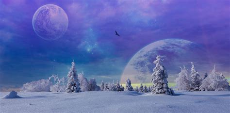 Cracking the Code of Winter-Like Landscapes in Dreamscapes