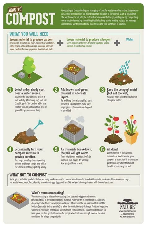 Creating a More Sustainable Future through Composting