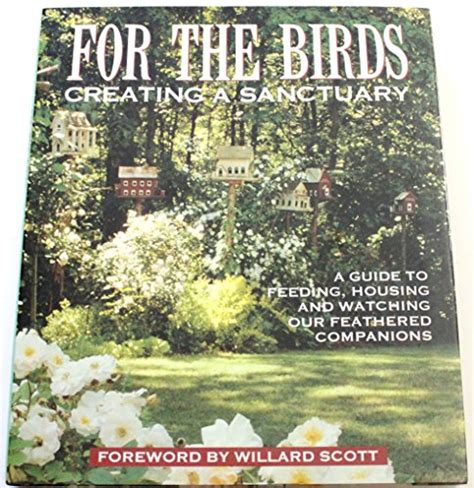 Creating a Perfect Sanctuary for Your Feathered Companions