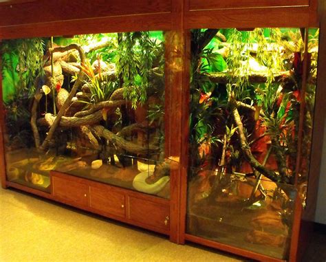 Creating the Ideal Habitat for Your Exotic Reptile Companion