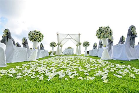 Creating the Perfect Wedding Environment: Setting the Stage