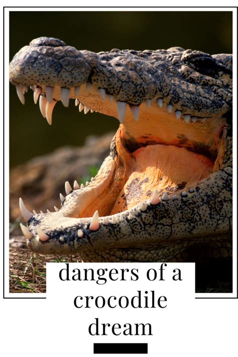 Crocodiles in Dreams: A Reflection of Hidden Dangers