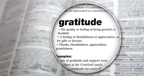 Cultivating a Culture of Appreciation: Harnessing the Potential of Gratitude