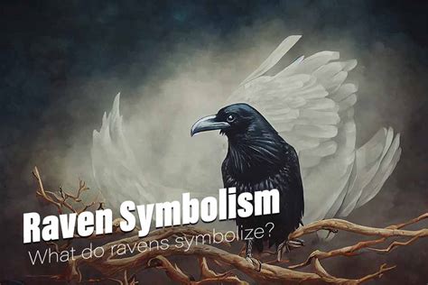 Cultural Interpretations of Symbolic Meaning Attributed to the Raven's Consumption of sustenance