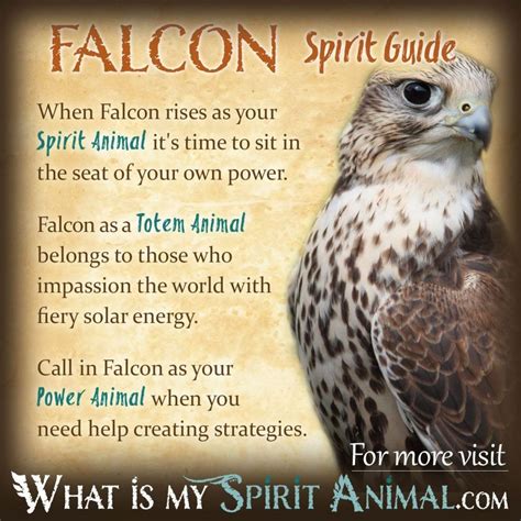 Cultural Perspectives on the Symbolism of Falcons