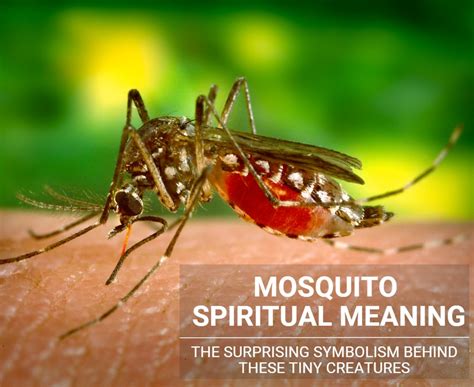 Cultural Symbolism: Mosquitoes and their Representation in Different Societies