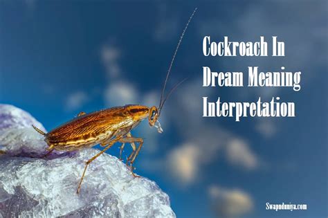 Cultural and Mythological References to Cockroaches in the Interpretation of Dreams