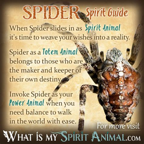 Cultural and Symbolic Meanings: Spiders in Different Cultures
