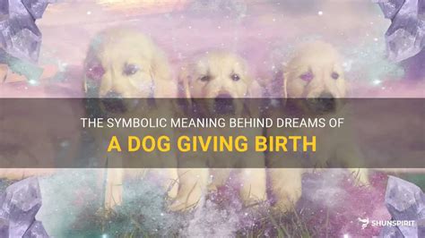 Deciphering the Intricate Significance of Canine Birthing Dreams