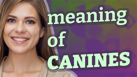 Deciphering the Meaning of Canines as Symbolic Entities