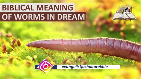 Deciphering the Meaning of Earthworms in the Oral Cavity during Dream States