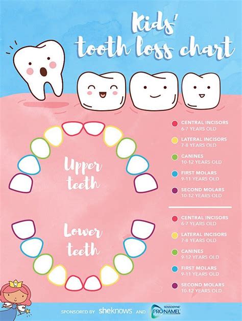 Deciphering the Significance behind Childhood Tooth Loss: Unraveling Their Symbolism