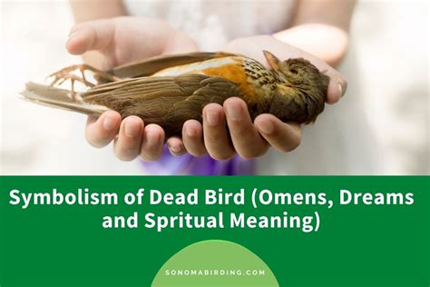 Deciphering the Symbolic Significance in Dreams of Avian Demise
