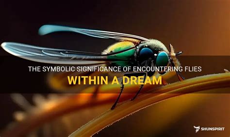 Deciphering the Symbolic Significance of Flies within the Realm of Dreams